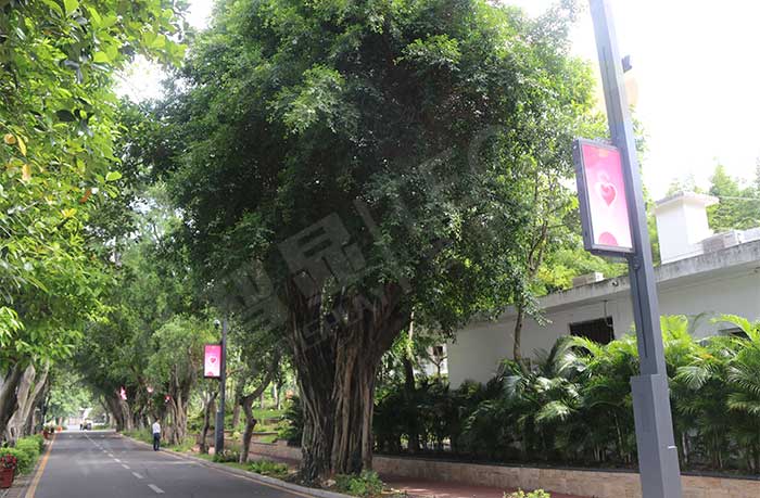 led燈桿屏|智慧燈桿屏|led廣告機(jī)|智慧路燈屏|戶外LED廣告機(jī)|燈桿屏|智慧燈桿|智慧路燈 led燈桿屏|智慧燈桿屏|led廣告機(jī)|智慧路燈屏|戶外LED廣告機(jī)|燈桿屏|智慧燈桿|智慧路燈